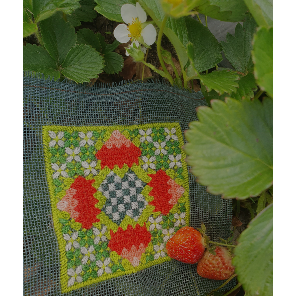 Strawberry Fields Forever Stitched with Strand Yarn